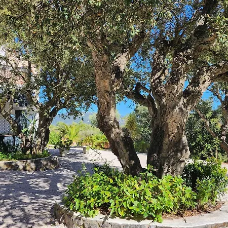 T3 .vue.jardin Terrasse Parking. * Carqueiranne
